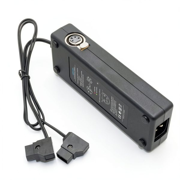 Dual D-Tap Charger for Camcorder Battery-1