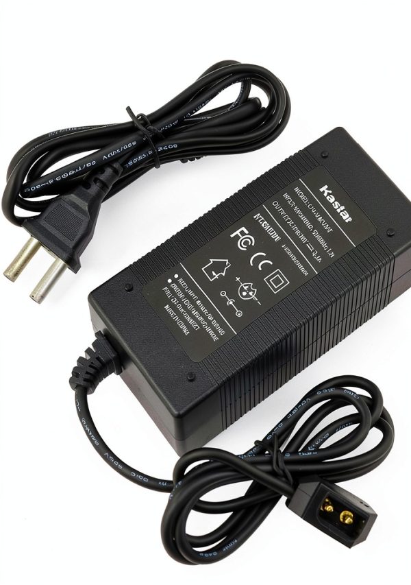 Kastar D-Type Charger Fast Camcorder Battery-0
