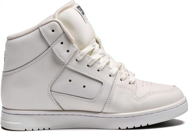 Women's Skateboard Shoes DC White Silver Pill-5