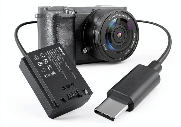 Sony NP-FZ100 USB-C Dummy Battery by Shenzhen Green Giant-0