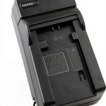 Rainy King BP-727 Camcorder Charger LED Indicator-0