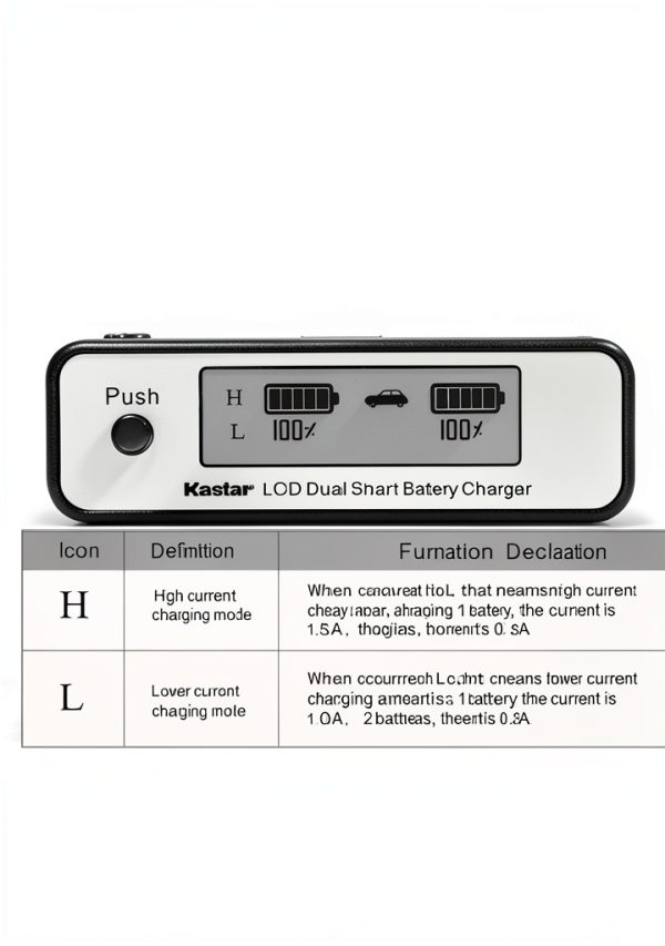 JVC Camcorder Charger Kastar Dual Fast Charger-2